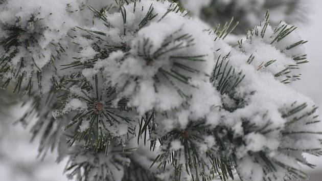 Meteorologové předpovídají pro jižní Moravu sněžení a varují před náledím.