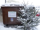 V pelhřimovské Friedově ulici je před panelovými domy umístěn bio kontejner, který slouží především k likvidaci vánočních stromků. Do včerejšího dopoledne do něj žádný stromek vhozen nebyl, našel se pouze jeden, který byl umístěn mimo něj. 