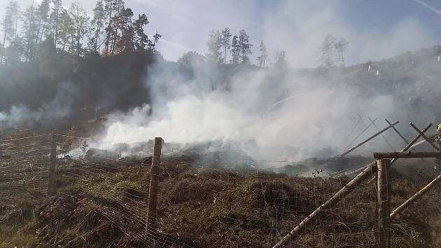 Požár lesa u Rynárce na Pelhřimovsku. Foto: poskytl HZS Kraje Vysočina