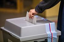 Komunální volby se musely opakovat ve všech okresech kromě Havlíčkobrodska. Ve většině obcí si pochvalují vysokou volební účast.