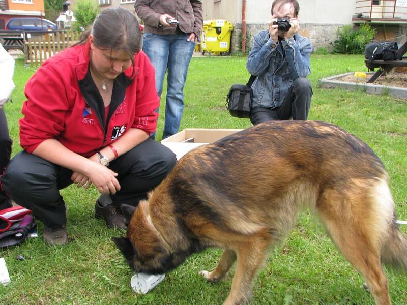 Fena Cora se v pondělí stala aportující rekordmankou.