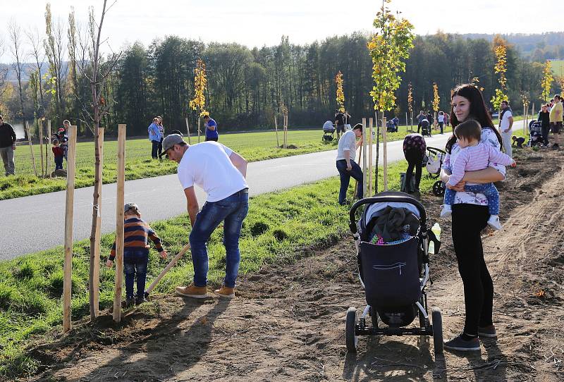 Rodiče sázeli stromky za své potomky poblíž Pelhřimova.