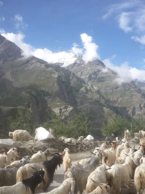 Překážky na silnici mezi Manali a Lehem