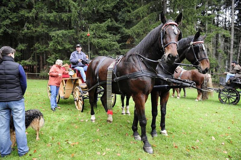 Sobota v Proseči pod Křemešníkem patřila tradiční Hubertově jízdě. Na start se letos postavilo padesát pět koní.