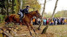 Sobota v Proseči pod Křemešníkem patřila tradiční Hubertově jízdě. Na start se letos postavilo padesát pět koní.