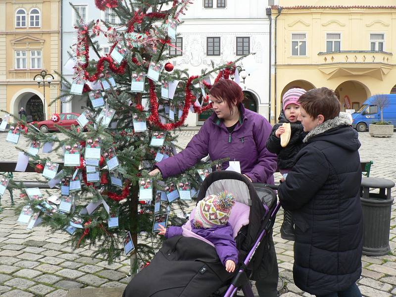 Strom splněných přání v Pelhřimově