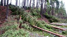 Popadané stromy zastavily v Bácovickém kopci na více jak dvě hodiny silnici z Pelhřimova do Červené Řečice. 