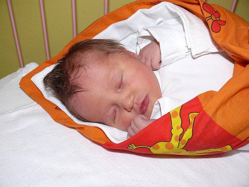 Michaela Albrechtová, Písek, 7. 7. 2011 ve 4.30 hodin, 2950 g, 49 cm.