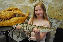 V zoo v Protivíně jsou k vidění krokodýli z celého světa i další zástupci plazí říše.
