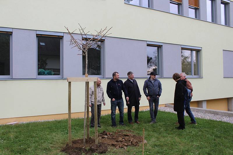 Rotariáni poděkovali vysazením stromu lékařům a sestrám za péči v době covidu.