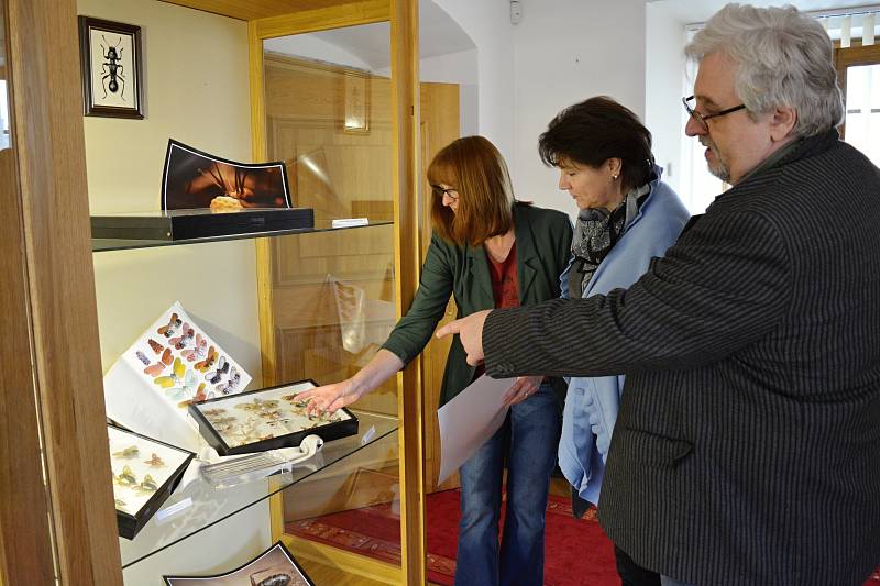 Novou výstavu Příroda je mocná čarodějka právě instalují v Milevském muzeu  Helena Pohořálková (na snímku zleva), Jiřina Peterková a ředitel muzea Vladimír Šindelář.