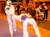 Judo - ilustrační foto