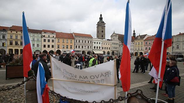 Před dvěma týdny lidé demonstrovali v Českých Budějovicích. Teď se chystá shromáždění proto vládním opatřením v Písku. Ilustrační foto.