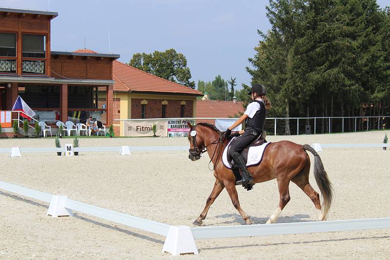 Mistrovství ČR Working Equitation v píseckém hřebčinci.