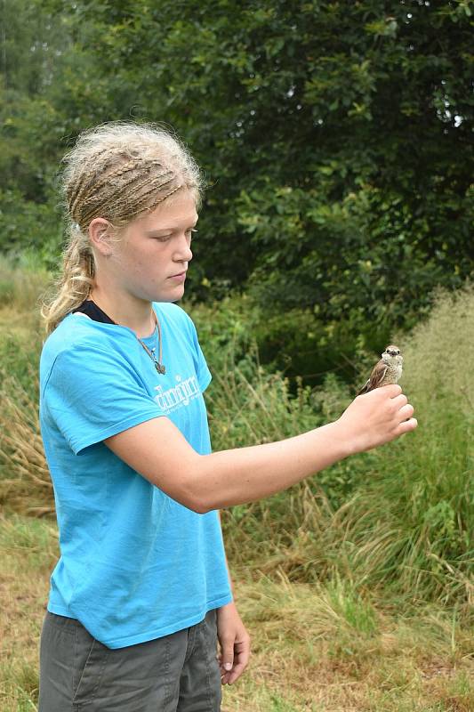 U Řežabince se zkoumá ptactvo. Ornitologové vítají i veřejnost.