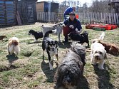 Ivana Gašpariková s několika psy, o které se stará.