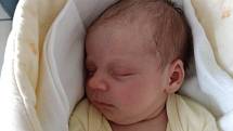 Karolína Dušková z Písku. Dcera Petry Stoszkové se narodila 13. 3. 2019 v 15.07 hodin. Při narození vážila 3150 g a měřila 49 cm.