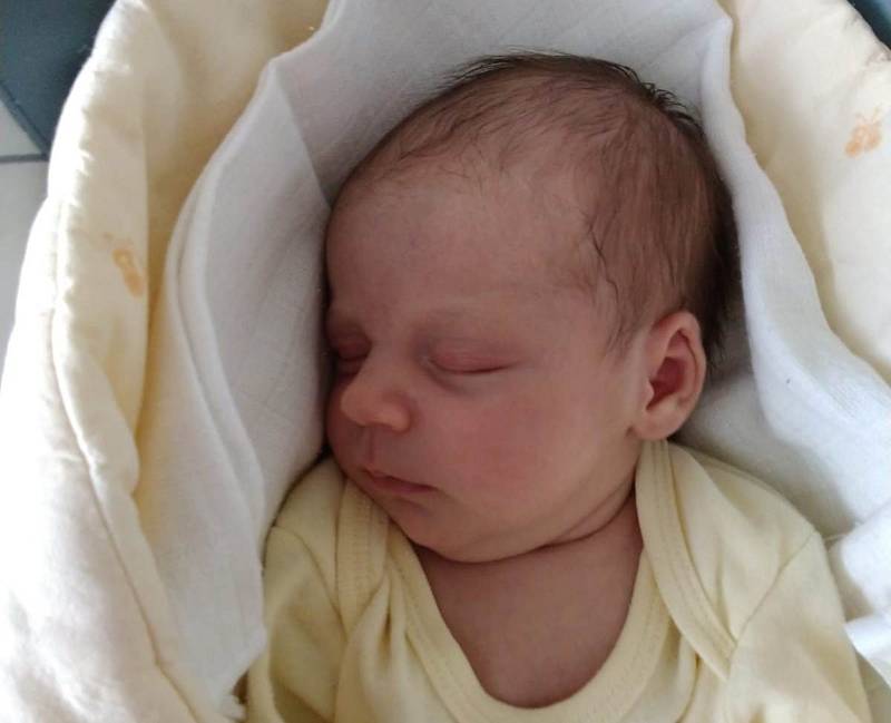 Karolína Dušková z Písku. Dcera Petry Stoszkové se narodila 13. 3. 2019 v 15.07 hodin. Při narození vážila 3150 g a měřila 49 cm.