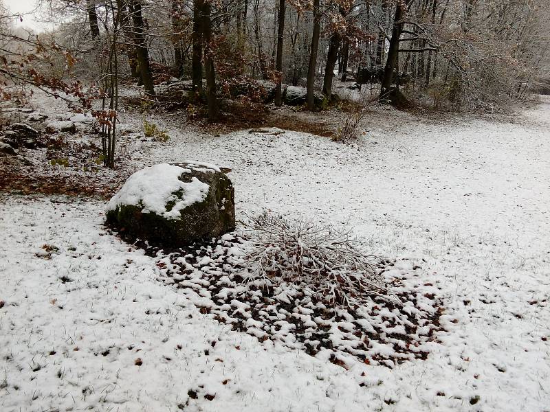 Ráno ve středu 13. listopadu na Kovářovsku.