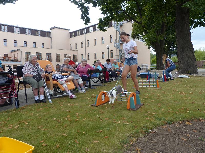 Klienty seniorského centra pobavili králíci.