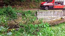 V úterý odpoledne hasiči z Písku v Chřešťovicích odstraňovali strom, který po bouřce spadl..