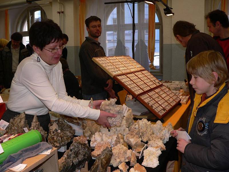 Burza minerálů, drahých kamenů, šperků a fosilií v Prácheňském muzeu