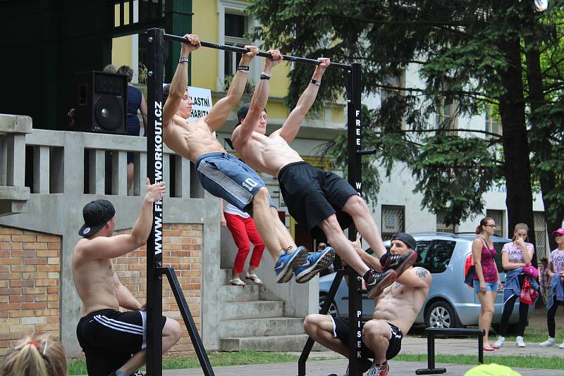 Slavnosti letnice v Palackého sadech v Písku.