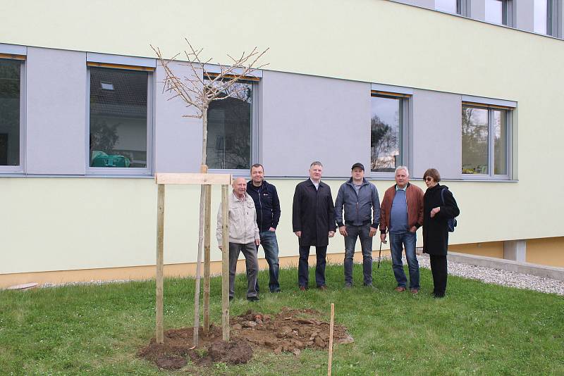 Rotariáni poděkovali vysazením stromu lékařům a sestrám za péči v době covidu.