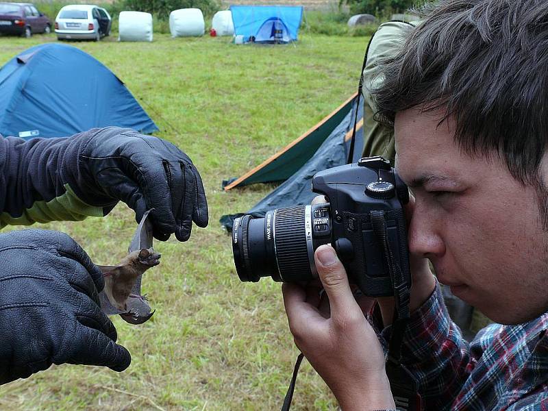 Fotografování netopýra.