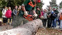 DEN STROMU. Do Panevropského týdne lesů se ve čtvrtek 23. října zapojily také písecké lesnické školy. Ty připravily zajímavý a poutavý program plný prožitkové pedagogiky pro 450 dětí ze základních škol. 
