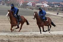 Den otevřených dveří v dostihové stáji Luka racing v Bošovicích.