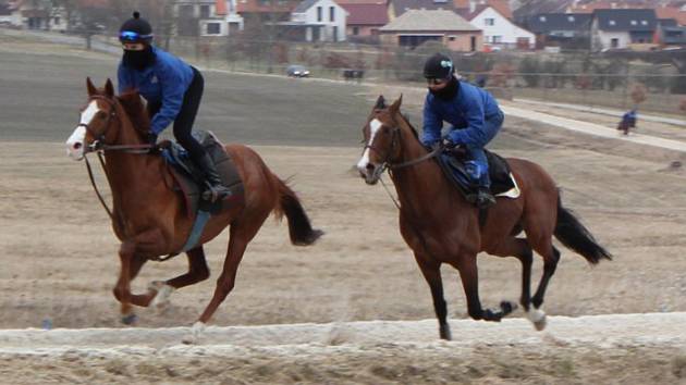 Den otevřených dveří v dostihové stáji Luka racing v Bošovicích.