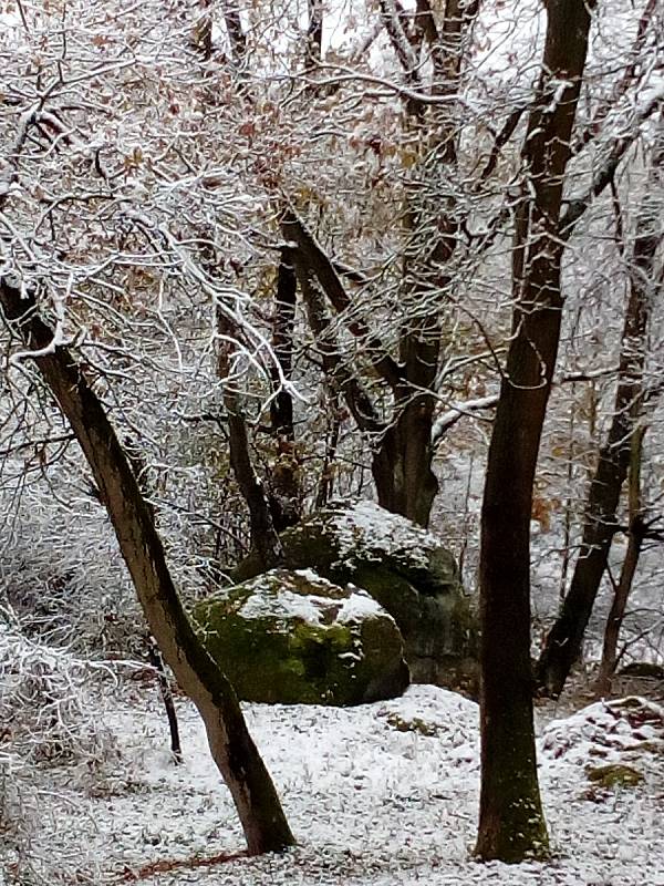 Ráno ve středu 13. listopadu na Kovářovsku.