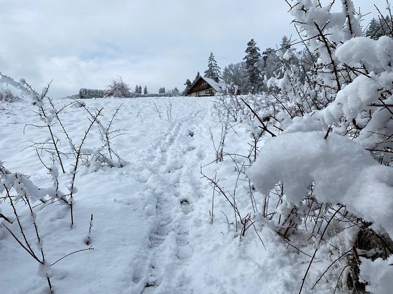 Zima ještě neřekla poslední slovo.