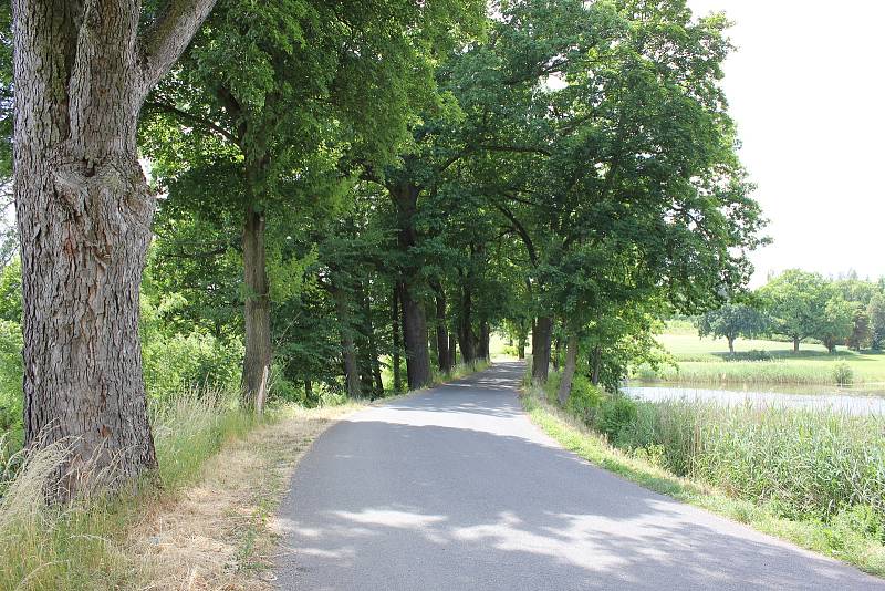 Silnice u rybníka Bochce u Kožlí u Orlíku.