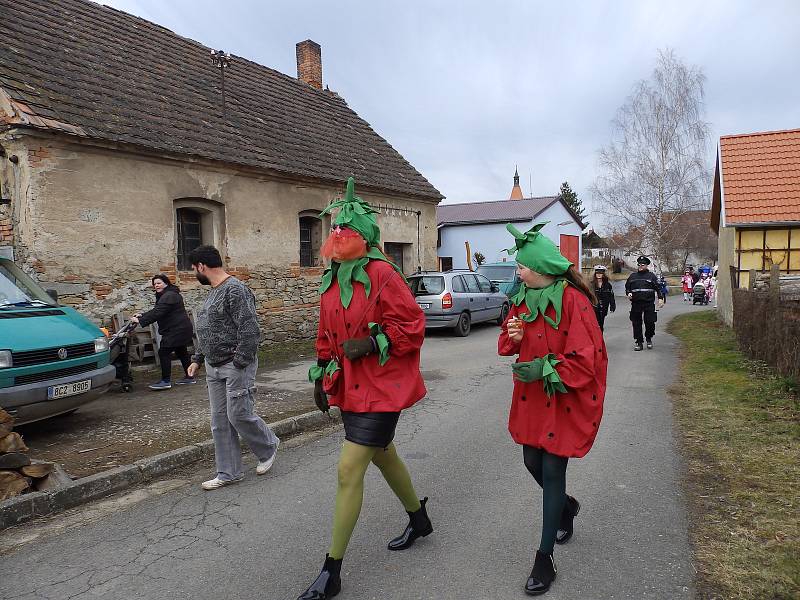 Masopust v Oslově.