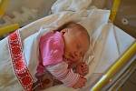 Berenika Pašková z Netolic. Prvorozená dcera Nelly Horinkové a Jana Paška se narodila 24. 9. 2020 v 9.17 hodin. Při narození vážila 4850 g a měřila 51 cm.