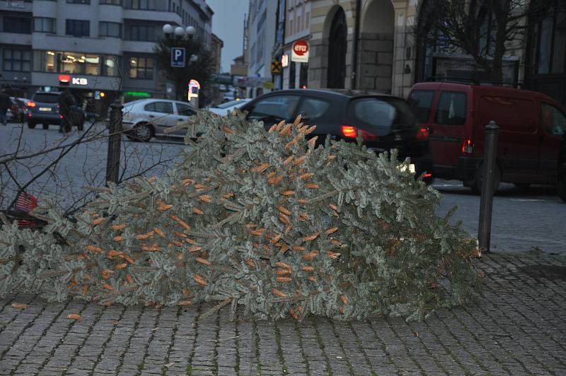 Kácení vánočního stromu v Písku.