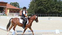 Mistrovství ČR Working Equitation v píseckém hřebčinci.