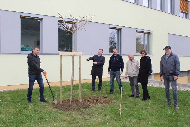 Rotariáni poděkovali vysazením stromu lékařům a sestrám za péči v době covidu.