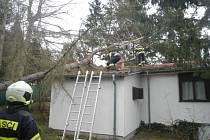 Zásahy hasičů při silném větru 17. února 2022. Spadlý strom na chatu ve Vůsí na Písecku.