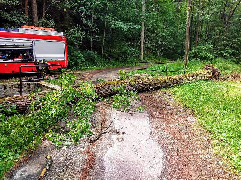 V úterý odpoledne hasiči z Písku v Chřešťovicích odstraňovali strom, který po bouřce spadl..
