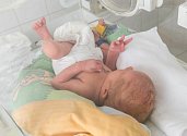 Nemocnice Písek letos zaznamenala průměrně 85 porodů za měsíc.