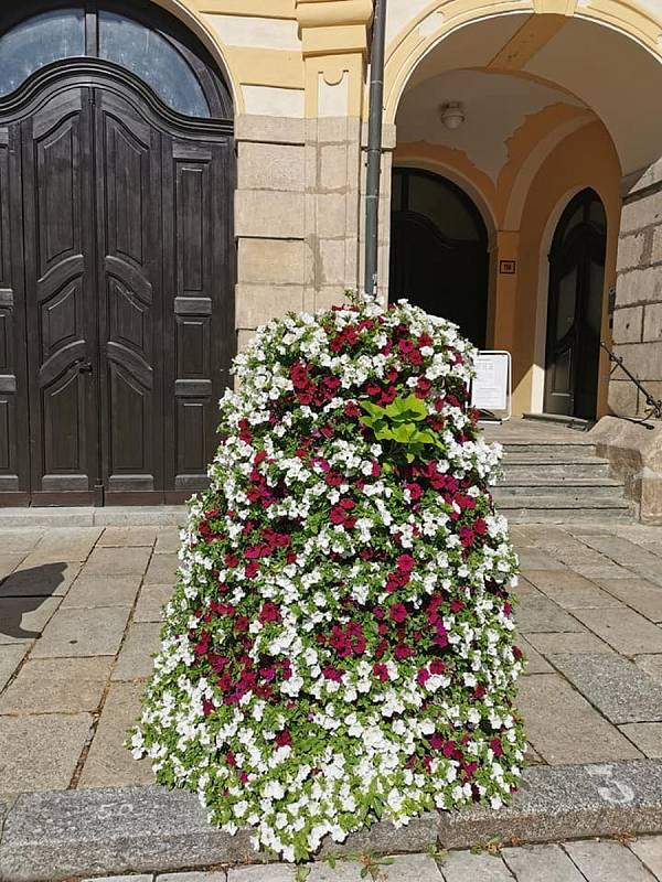 Písecké ulice a parky letos rozkvetly do krásy. Městské služby s odborem životního prostředí zrealizovaly výsadbu liliových luk i osazení různých druhů květináčů v centru.