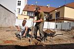 Věž se skluzavkou, stoličky, velká počitadla, tabule s dětskými hrami, houpačka, pružiny, provazový žebřík a velký trávník. To vše čeká na děti v Budovcově ulici na místě bývalé tržnice. 