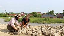 Archeologický výzkum v Albrechticích nad Vltavou.