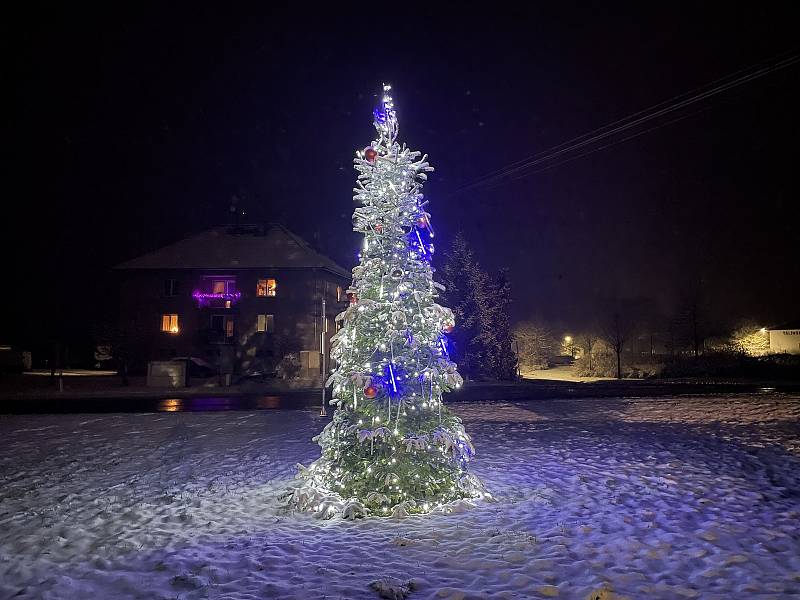 Vánoční strom v Tálíně.