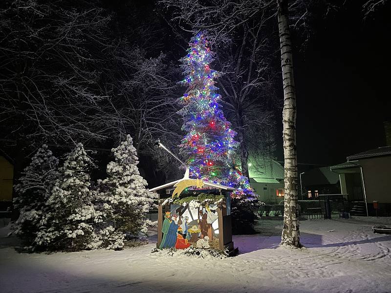 Vánoční strom v Hrejkovicích.