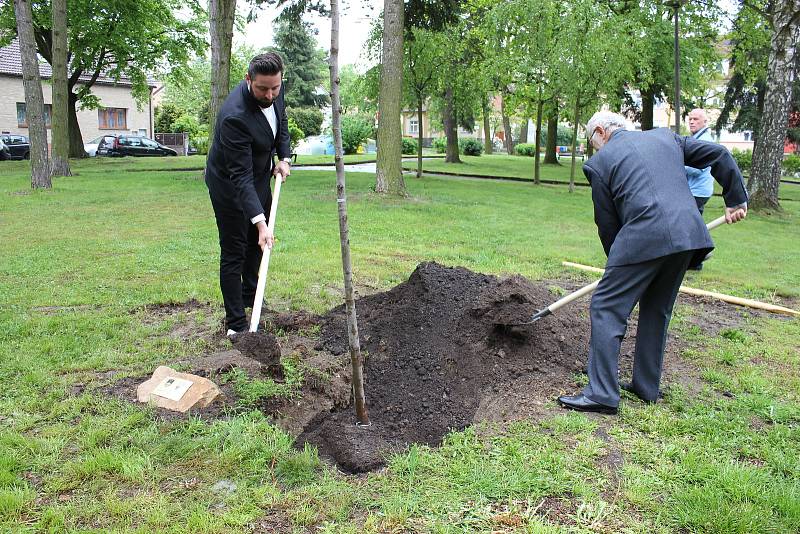 Sázení lípy slovinsko - českého přátelství v Milevsku.