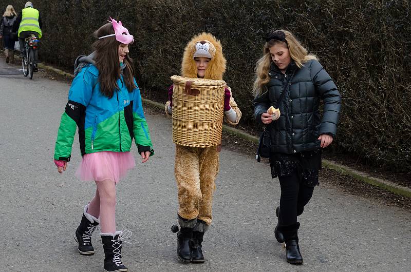 Masopustní průvod městem Základní školy Svobodná Písek.